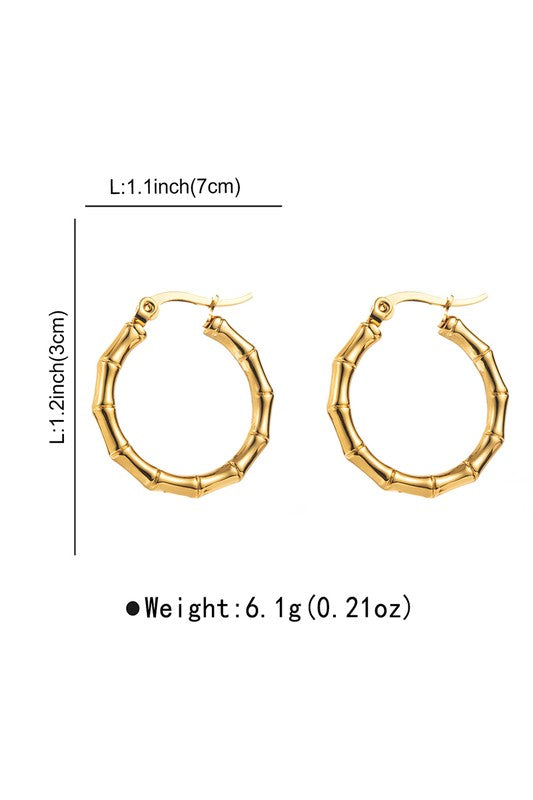 Stainless Steal Hoop Earrings